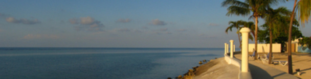 Ocho Rios tours, sightseeing, things to do
