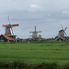 The Windmills Half Day Tour to Zaanse Schans Windmills, Marken and Volendam