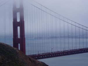 Golden Gate Bridge Alcatraz plus Muir Woods, Giant Redwoods and Sausalito