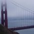 Golden Gate Bridge Alcatraz plus Muir Woods, Giant Redwoods and Sausalito