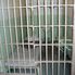 Size of a cell at alcatraz Alcatraz plus Muir Woods, Giant Redwoods and Sausalito