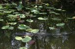 Everglades National Park, Miami City Tour and Biscayne Bay by Boat