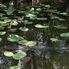Gator! Everglades National Park, Miami City Tour and Biscayne Bay by Boat