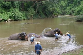 More bath time Chiang Dao Elephant Jungle Trek with River Rafting on Ping River