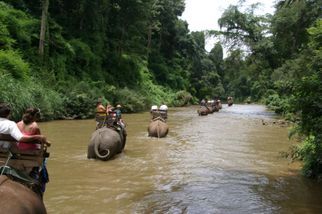 Making our way up river Chiang Dao Elephant Jungle Trek with River Rafting on Ping River