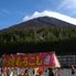 Fuji from the 5th Station Mt Fuji and Hakone Day Tour from Tokyo: Return by Bullet Train