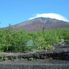 Fuji in early September Mt Fuji and Hakone Day Tour from Tokyo: Return by Bullet Train