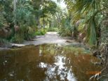 Billie Swamp Safari Park - Big Cypress Day Package