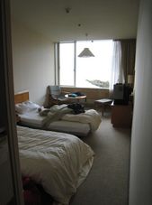 Prince Hakone Mt Fuji, Hakone and Onsen 2-Day Tour from Tokyo: Return by Bullet Train