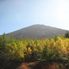 Mt Fuji Mt Fuji, Hakone and Onsen 2-Day Tour from Tokyo: Return by Bullet Train