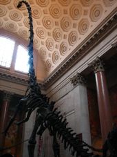 Natural History Museum Concourse The New York Pass