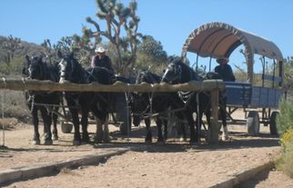Horse & Wagon Grand Canyon Helicopter and Ranch Adventure