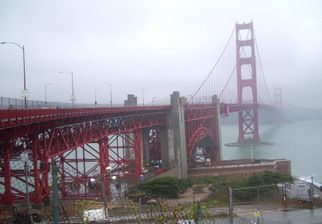 Golden Gate Bridge San Francisco Deluxe City Tour, Muir Woods, Giant Redwoods and Sausalito