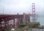 Alcatraz plus Muir Woods, Giant Redwoods and Sausalito