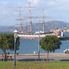 Scenery on San Francisco Bay Alcatraz plus Muir Woods, Giant Redwoods and Sausalito