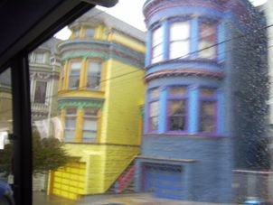 I want a pink one! Alcatraz plus Muir Woods, Giant Redwoods and Sausalito