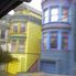 I want a pink one! Alcatraz plus Muir Woods, Giant Redwoods and Sausalito