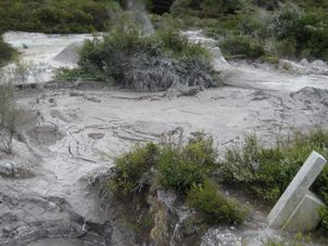 Bubbling Mud The Waitomo Glowworm Caves and Rotorua Day Experience