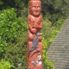 Waitomo Caves The Waitomo Glowworm Caves and Rotorua Day Experience