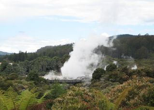 Rotorua Geyser The Waitomo Glowworm Caves and Rotorua Day Experience