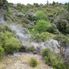 Rotorua Geyser The Waitomo Glowworm Caves and Rotorua Day Experience