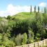 New Zealand Countryside The Waitomo Glowworm Caves and Rotorua Day Experience