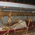 Vatican Vatican Museums, Sistine Chapel and St. Peter's Rome Walking Tour