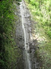 Manoa Waterfall Manoa Waterfall Adventure