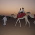 Sunset Camel Ride 4x4 Desert Wonder Safari - Sandboarding, BBQ Dinner and Bellydancer