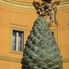 Pinecone square Skip the Line: Vatican Museums Walking Tour including Sistine Chapel, Raphael's Rooms and St Peter's