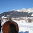 Area view Christmas Horse Drawn Sleigh Ride from Salzburg
