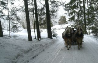 The sleigh behind us Christmas Horse Drawn Sleigh Ride from Salzburg