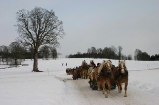 My husband's perfect shot Christmas Horse Drawn Sleigh Ride from Salzburg