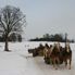 My husband's perfect shot Christmas Horse Drawn Sleigh Ride from Salzburg
