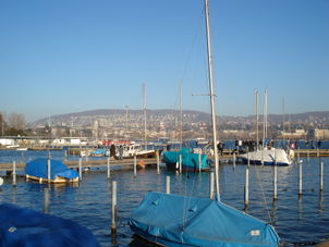Lake Zurich Zurich and its Beautiful Surroundings Afternoon Tour