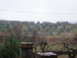 The View Chianti Region with Wine Tasting Afternoon Tuscany Tour from Florence