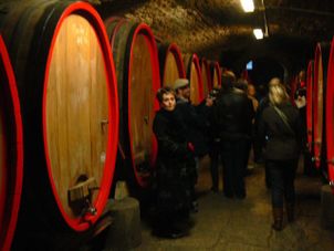 The cellar Chianti Region with Wine Tasting Afternoon Tuscany Tour from Florence