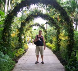 Botanical Gardens Singapore City Tour - Chinatown, Botanic Gardens, Little India