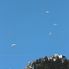 Paragliders over the mountains Chamonix and Mont Blanc
