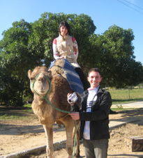 Camel ride Day Trip to Tangier, Morocco