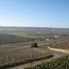 Vineyards Epernay Day in the Champagne Region by Minivan