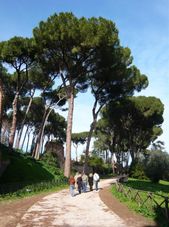 Umbrella Pines on the Palantine Rome Hop On Hop Off Double Decker Bus Tour