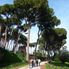 Umbrella Pines on the Palantine Rome Hop On Hop Off Double Decker Bus Tour