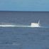 Oahu Submarine Ride Atlantis Oahu Submarine Adventure