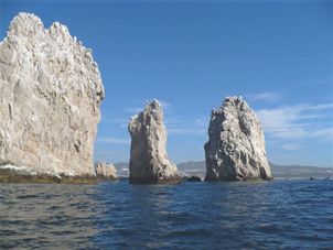 Los Cabos Sunset Cruise Los Cabos Sunset Dinner Cruise