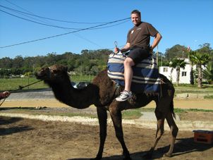 Camel ride Day Trip to Tangier, Morocco