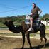 Camel ride Day Trip to Tangier, Morocco
