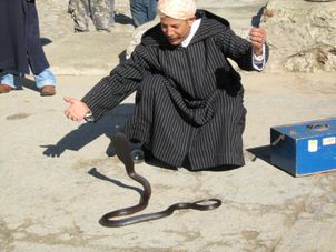 Snake Charmer Day Trip to Tangier, Morocco