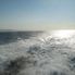 Strait of Gibralter Day Trip to Tangier, Morocco