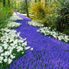Amsterdam's Keukenhof Gardens Tulip Flowerfields and Keukenhof Garden Tour from Amsterdam